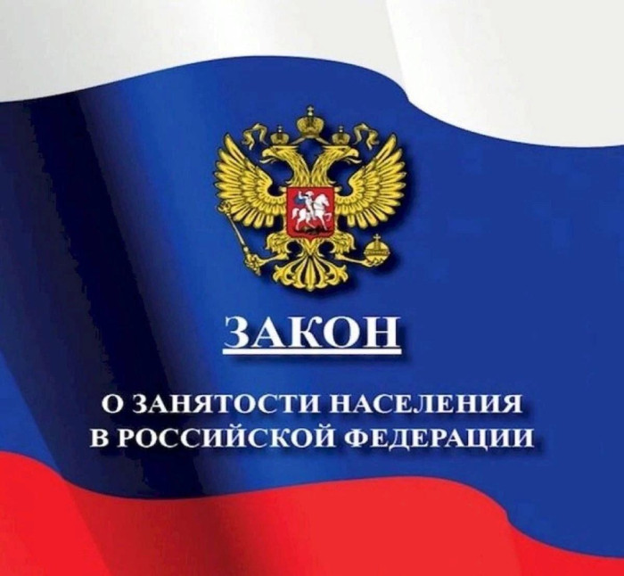 С 2024 года вступили в силу отдельные положения закона от 12.12.2023 г. № 565-ФЗ «О занятости населения в РФ»